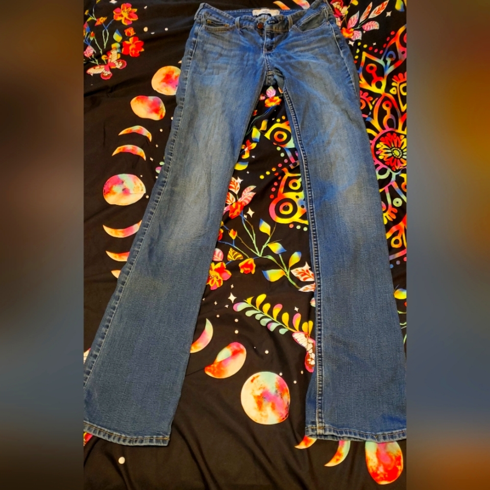 Hollister 3L boot Jeans READ BELOW